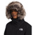 North Face The North Face Arctic Parka for Women: Picture 4 thumbnail
